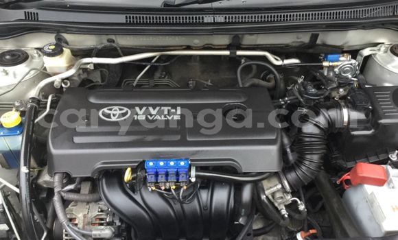 Nunua Ilio tumika Toyota Runx Beige Gari ndani ya Lilongwe nchini Malawi Nunua Ilio tumika Toyota Runx Beige Gari ndani ya Lilongwe nchini Malawi