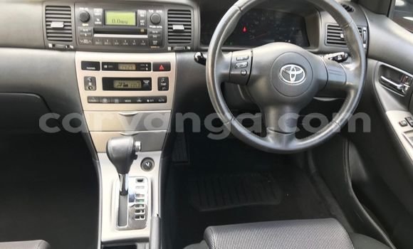 Nunua Ilio tumika Toyota Runx Beige Gari ndani ya Lilongwe nchini Malawi Nunua Ilio tumika Toyota Runx Beige Gari ndani ya Lilongwe nchini Malawi