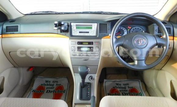 Buy New Toyota Runx Silver Car in Lilongwe in Malawi