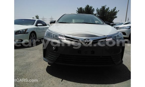 Buy Import Toyota Corolla Other Car in Import - Dubai in Malawi Buy Import Toyota Corolla Other Car in Import - Dubai in Malawi