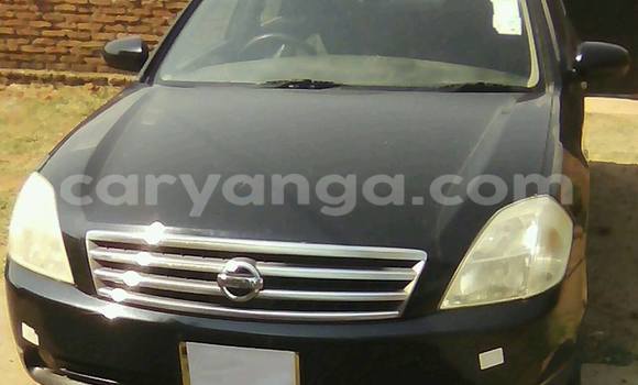Buy Used Nissan Teana Black Car in Limbe in Malawi Buy Used Nissan Teana Black Car in Limbe in Malawi