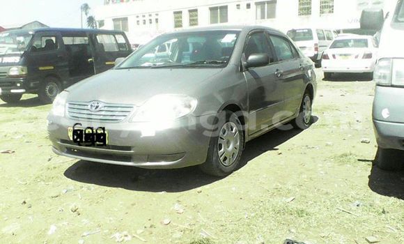 Buy Used Toyota Corolla Other Car in Limbe in Malawi Buy Used Toyota Corolla Other Car in Limbe in Malawi