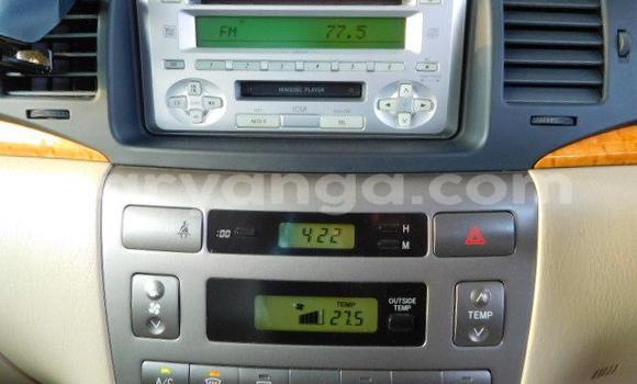 Nunua Mpya Toyota Runx Silver Gari ndani ya Lilongwe nchini Malawi Nunua Mpya Toyota Runx Silver Gari ndani ya Lilongwe nchini Malawi