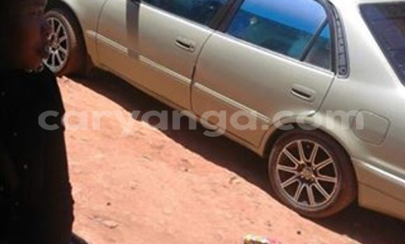 Buy Used Toyota Corolla Other Car in Limbe in Malawi Buy Used Toyota Corolla Other Car in Limbe in Malawi