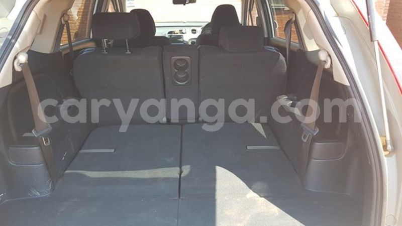 Big with watermark 59325865 2250581381699528 3267967888845176832 n