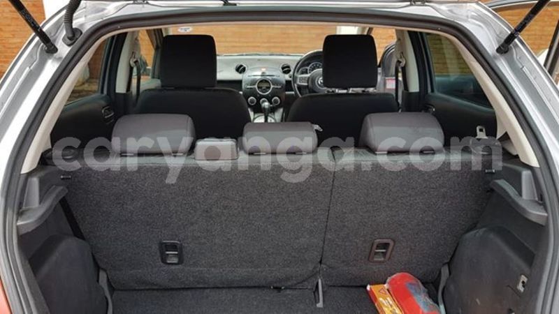 Big with watermark 53068895 2152869868137347 8900295452864282624 n