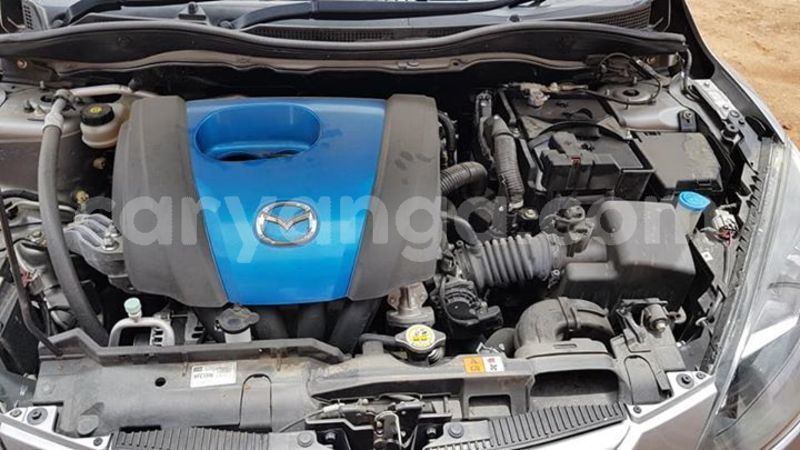 Big with watermark 52508147 2152869838137350 8819413887171428352 n