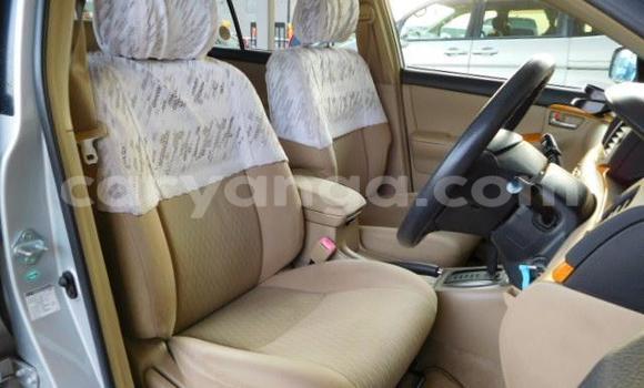 Nunua Mpya Toyota Runx Silver Gari ndani ya Lilongwe nchini Malawi Nunua Mpya Toyota Runx Silver Gari ndani ya Lilongwe nchini Malawi