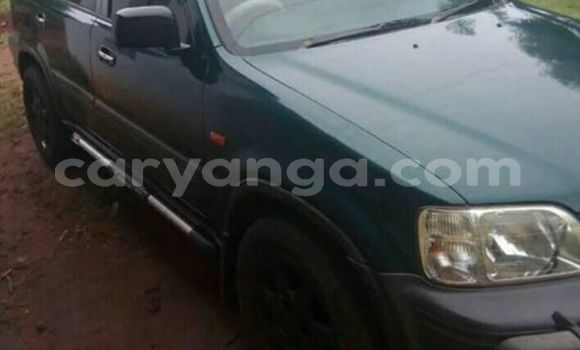 Buy Used Honda CR–V Green Car in Lilongwe in Malawi Buy Used Honda CR–V Green Car in Lilongwe in Malawi