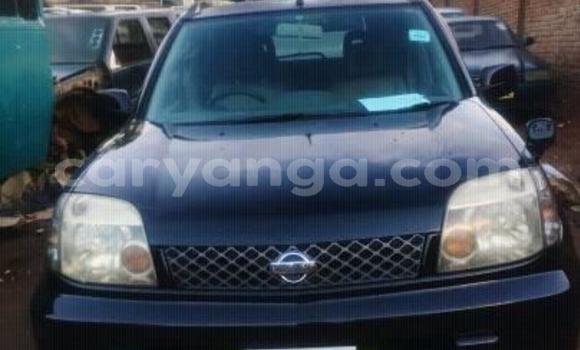 Buy Used Nissan X–Trail Blue Car in Lilongwe in Malawi Buy Used Nissan X–Trail Blue Car in Lilongwe in Malawi