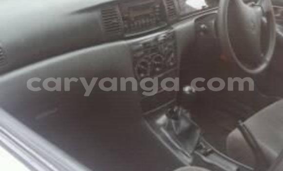 Buy Used Toyota Corolla White Car in Lilongwe in Malawi Buy Used Toyota Corolla White Car in Lilongwe in Malawi