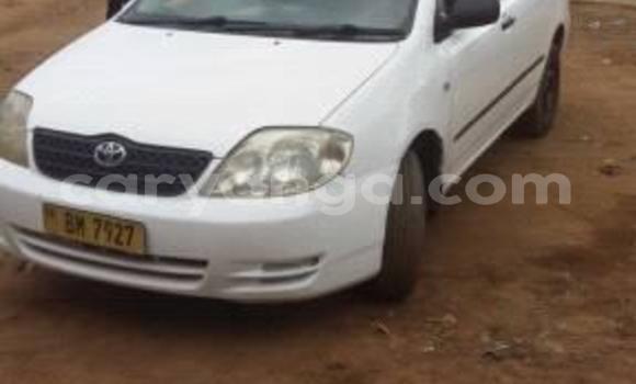 Buy Used Toyota Corolla White Car in Lilongwe in Malawi Buy Used Toyota Corolla White Car in Lilongwe in Malawi