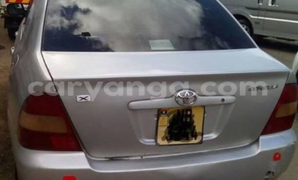 Buy Used Toyota Corolla Silver Car in Lilongwe in Malawi Buy Used Toyota Corolla Silver Car in Lilongwe in Malawi