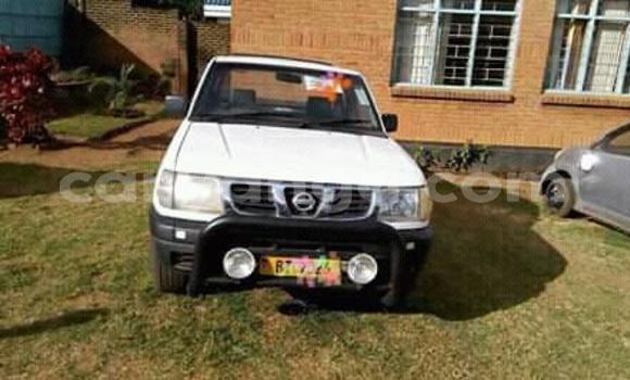 Buy Used Nissan Hardbody White Car in Lilongwe in Malawi Buy Used Nissan Hardbody White Car in Lilongwe in Malawi