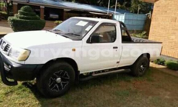 Buy Used Nissan Hardbody White Car in Lilongwe in Malawi Buy Used Nissan Hardbody White Car in Lilongwe in Malawi