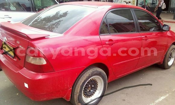 Buy Used Toyota Corolla Red Car in Blantyre in Malawi Buy Used Toyota Corolla Red Car in Blantyre in Malawi