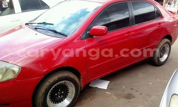 Buy Used Toyota Corolla Red Car in Blantyre in Malawi Buy Used Toyota Corolla Red Car in Blantyre in Malawi