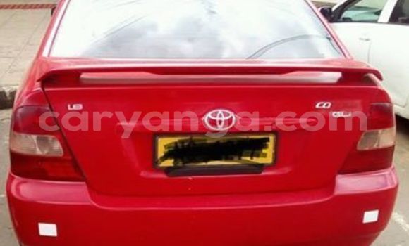 Buy Used Toyota Corolla Red Car in Blantyre in Malawi Buy Used Toyota Corolla Red Car in Blantyre in Malawi