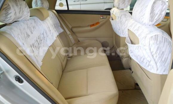 Nunua Mpya Toyota Runx Silver Gari ndani ya Lilongwe nchini Malawi Nunua Mpya Toyota Runx Silver Gari ndani ya Lilongwe nchini Malawi