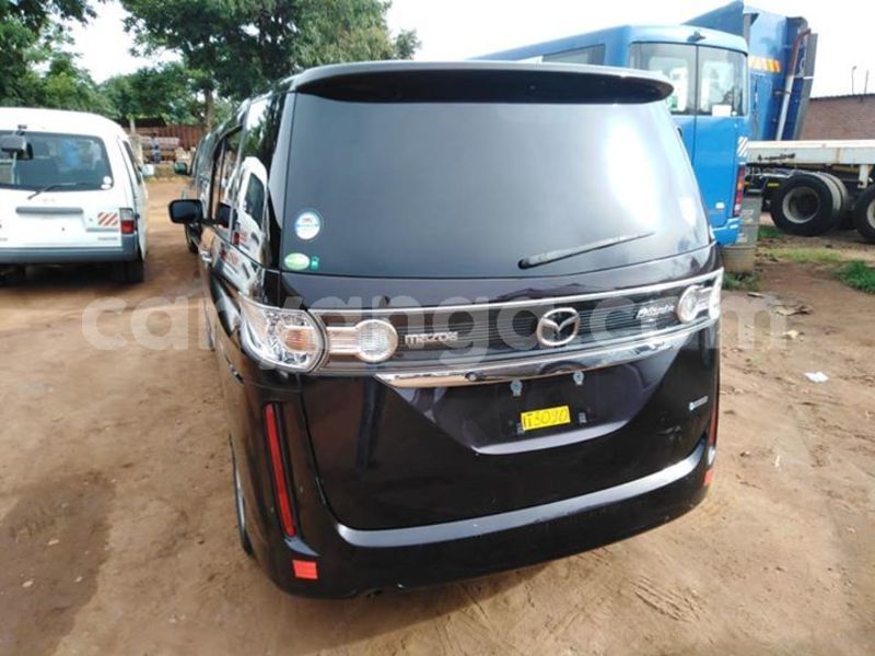 Big with watermark 58374191 10215256701430020 2621072924177596416 n