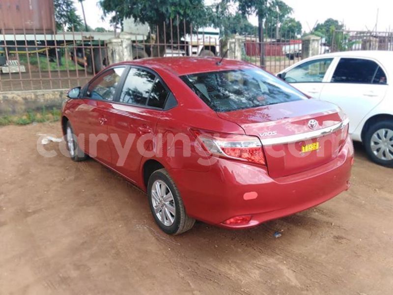 Big with watermark 57023963 10215194876964447 6193390789846892544 n