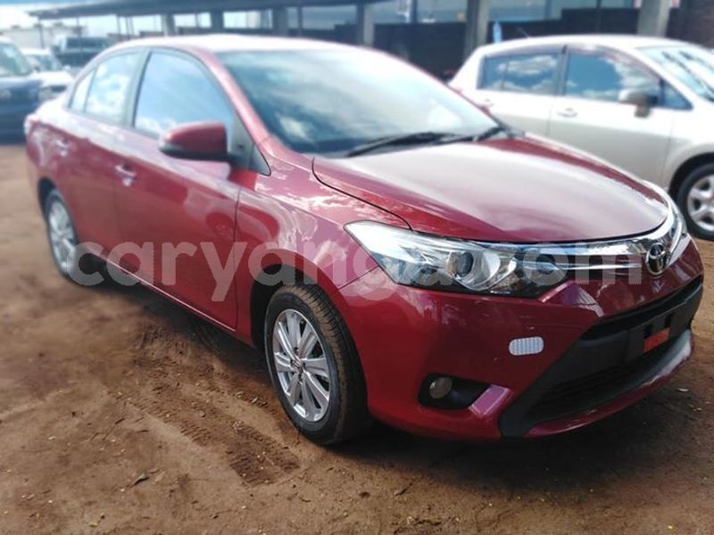 Big with watermark 57451071 10215194876804443 3564360944832217088 n