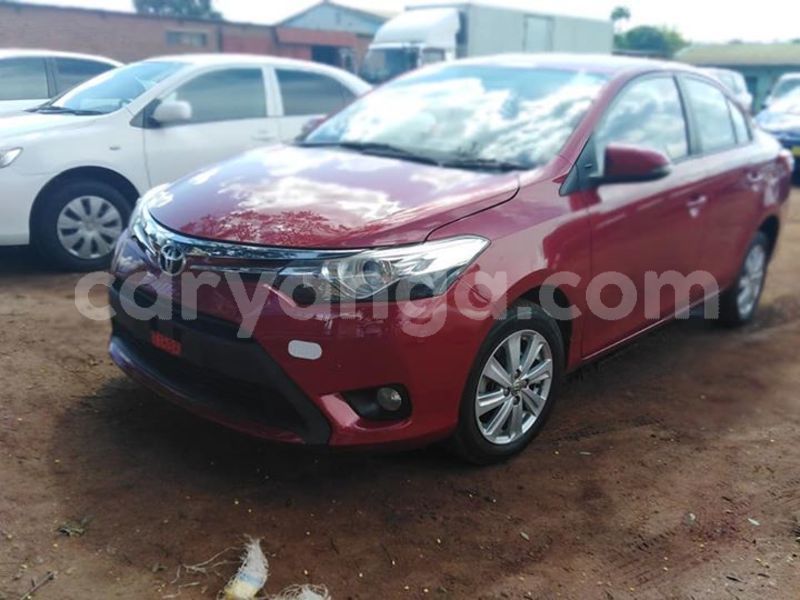 Big with watermark 56952731 10215194876404433 4620764565678850048 n