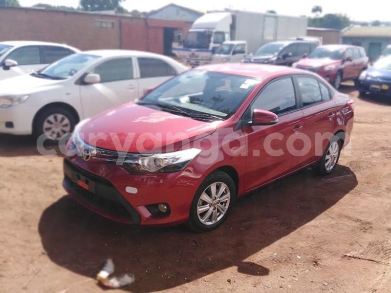 Big with watermark 57104251 10215194875324406 841896083452854272 n