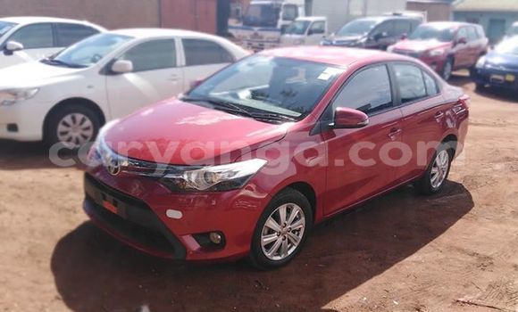 Buy Used Toyota Vios Red Car in Lilongwe in Malawi Buy Used Toyota Vios Red Car in Lilongwe in Malawi