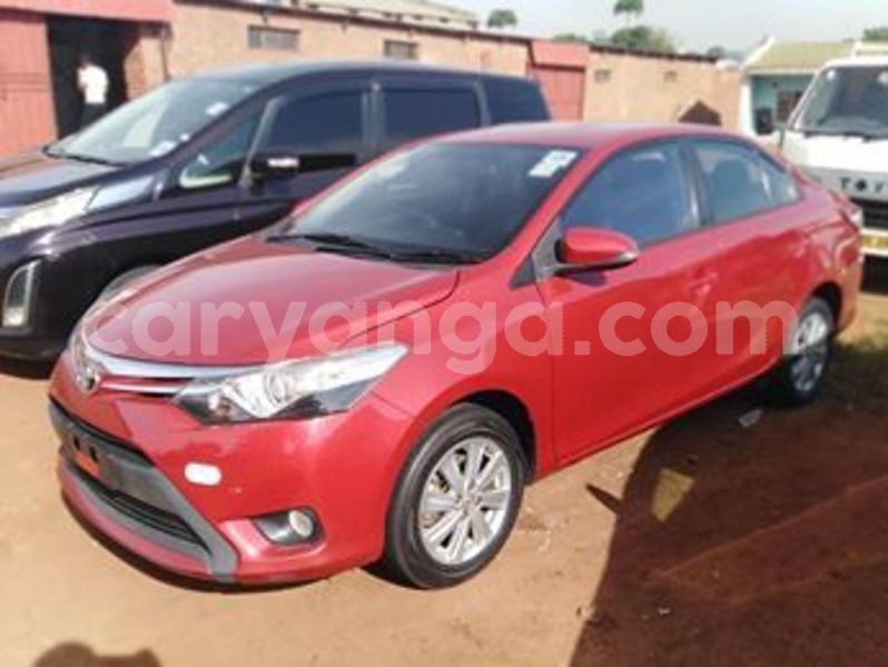 Big with watermark 57454662 10215194875164402 5854298182615302144 n