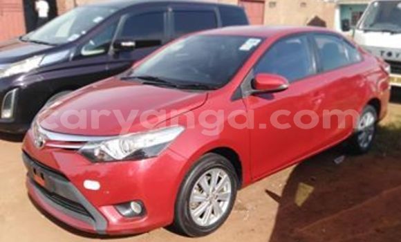 Buy Used Toyota Vios Red Car in Lilongwe in Malawi Buy Used Toyota Vios Red Car in Lilongwe in Malawi