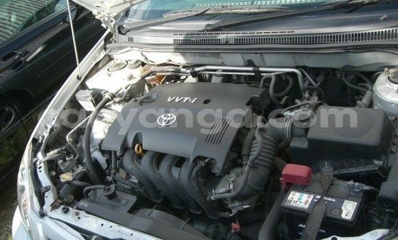 Nunua Mpya Toyota Runx Silver Gari ndani ya Lilongwe nchini Malawi Nunua Mpya Toyota Runx Silver Gari ndani ya Lilongwe nchini Malawi