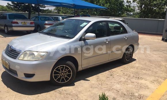 Buy Used Toyota Corolla Silver Car in Limbe in Malawi Buy Used Toyota Corolla Silver Car in Limbe in Malawi