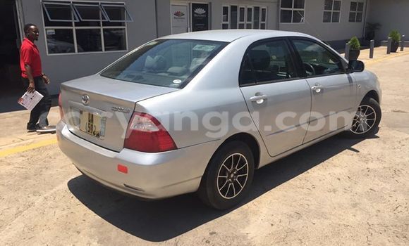 Buy Used Toyota Corolla Silver Car in Limbe in Malawi Buy Used Toyota Corolla Silver Car in Limbe in Malawi