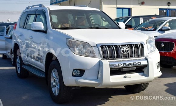 Buy Import Toyota Prado White Car in Import - Dubai in Malawi Buy Import Toyota Prado White Car in Import - Dubai in Malawi