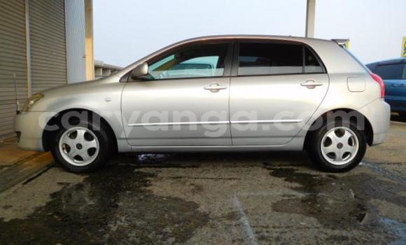 Nunua Mpya Toyota Runx Silver Gari ndani ya Lilongwe nchini Malawi Nunua Mpya Toyota Runx Silver Gari ndani ya Lilongwe nchini Malawi