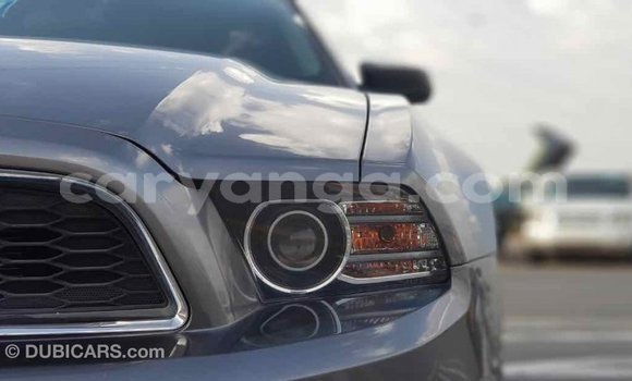 Buy Import Ford Mustang Other Car in Import - Dubai in Malawi Buy Import Ford Mustang Other Car in Import - Dubai in Malawi