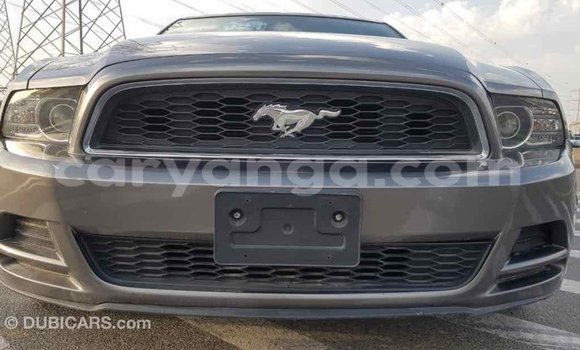 Buy Import Ford Mustang Other Car in Import - Dubai in Malawi Buy Import Ford Mustang Other Car in Import - Dubai in Malawi