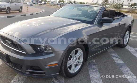 Buy Import Ford Mustang Other Car in Import - Dubai in Malawi Buy Import Ford Mustang Other Car in Import - Dubai in Malawi