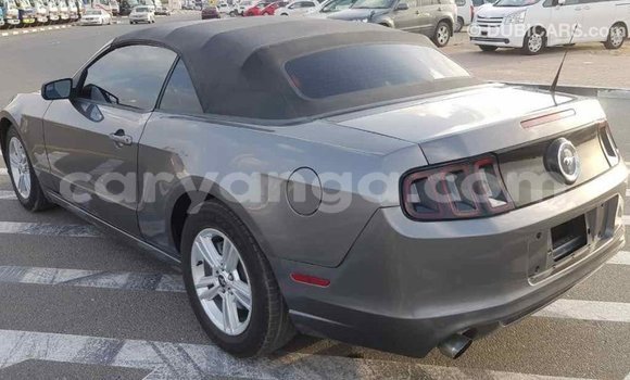 Buy Import Ford Mustang Other Car in Import - Dubai in Malawi Buy Import Ford Mustang Other Car in Import - Dubai in Malawi