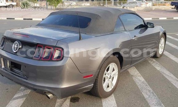 Buy Import Ford Mustang Other Car in Import - Dubai in Malawi Buy Import Ford Mustang Other Car in Import - Dubai in Malawi