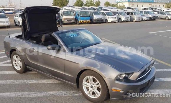 Buy Import Ford Mustang Other Car in Import - Dubai in Malawi Buy Import Ford Mustang Other Car in Import - Dubai in Malawi