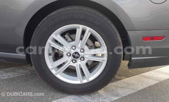 Buy Import Ford Mustang Other Car in Import - Dubai in Malawi Buy Import Ford Mustang Other Car in Import - Dubai in Malawi