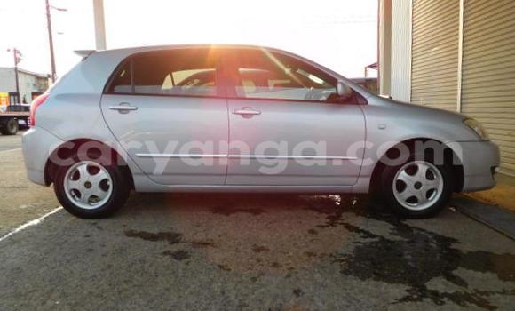 Nunua Mpya Toyota Runx Silver Gari ndani ya Lilongwe nchini Malawi Nunua Mpya Toyota Runx Silver Gari ndani ya Lilongwe nchini Malawi