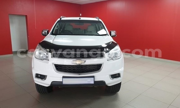 Buy Used Chevrolet Trailblazer White Car in Livingstonia in Karonga Buy Used Chevrolet Trailblazer White Car in Livingstonia in Karonga