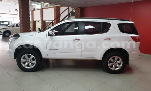 Buy Used Chevrolet Trailblazer White Car in Livingstonia in Karonga Buy Used Chevrolet Trailblazer White Car in Livingstonia in Karonga