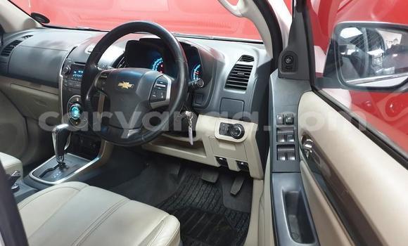 Buy Used Chevrolet Trailblazer White Car in Livingstonia in Karonga Buy Used Chevrolet Trailblazer White Car in Livingstonia in Karonga