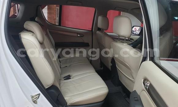 Buy Used Chevrolet Trailblazer White Car in Livingstonia in Karonga Buy Used Chevrolet Trailblazer White Car in Livingstonia in Karonga