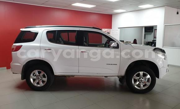 Buy Used Chevrolet Trailblazer White Car in Livingstonia in Karonga Buy Used Chevrolet Trailblazer White Car in Livingstonia in Karonga