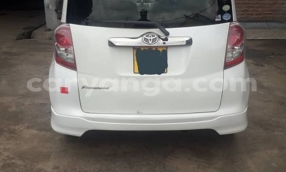 Buy Used Toyota Ractis White Car in Blantyre in Malawi Buy Used Toyota Ractis White Car in Blantyre in Malawi